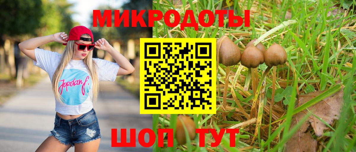 Галлюциногенные грибы прущие грибы Сочи