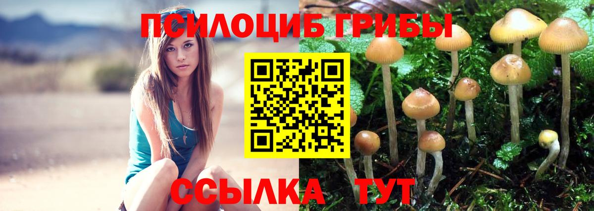 Псилоцибиновые грибы Magic Shrooms  Вход с VPN  Галлюциногенные грибы Psilocybe  купить   Сочи 